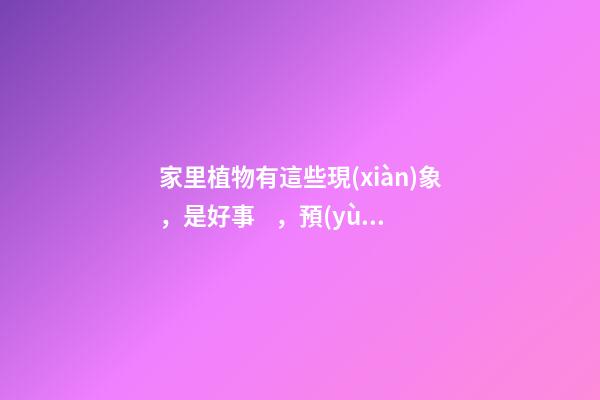 家里植物有這些現(xiàn)象，是好事，預(yù)示你家要發(fā)大財了！